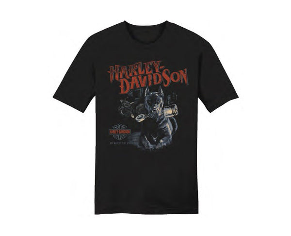 Men's Harley-Davidson T-Shirt
