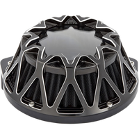 Arlen Ness Black/Silver Crossfire Air Cleaner Kit - 600-040